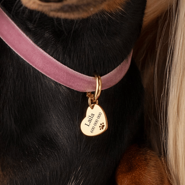 Collar Amor Mascota - Personalizado