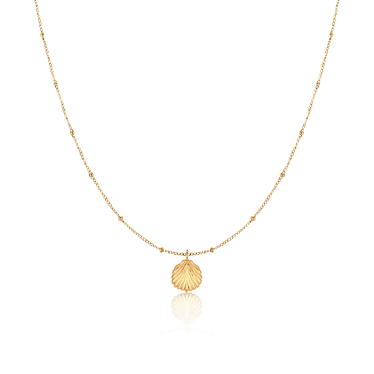 Collar Concha Marina