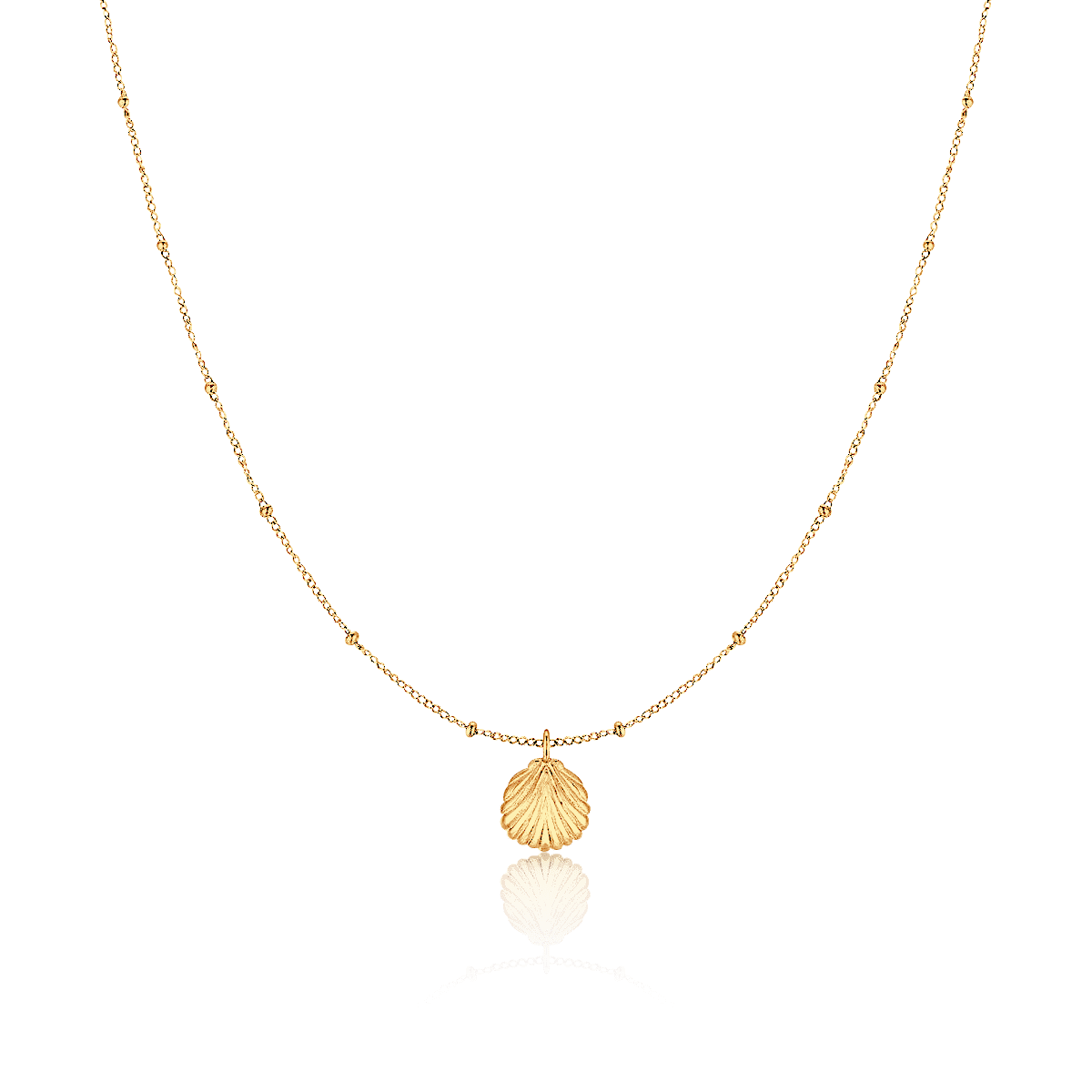 Collar Concha Marina