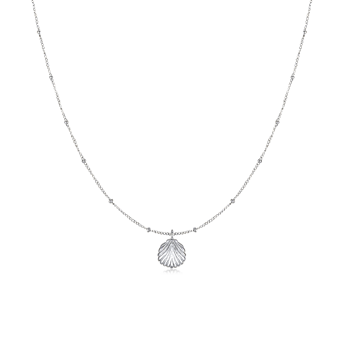 Collar Concha Marina