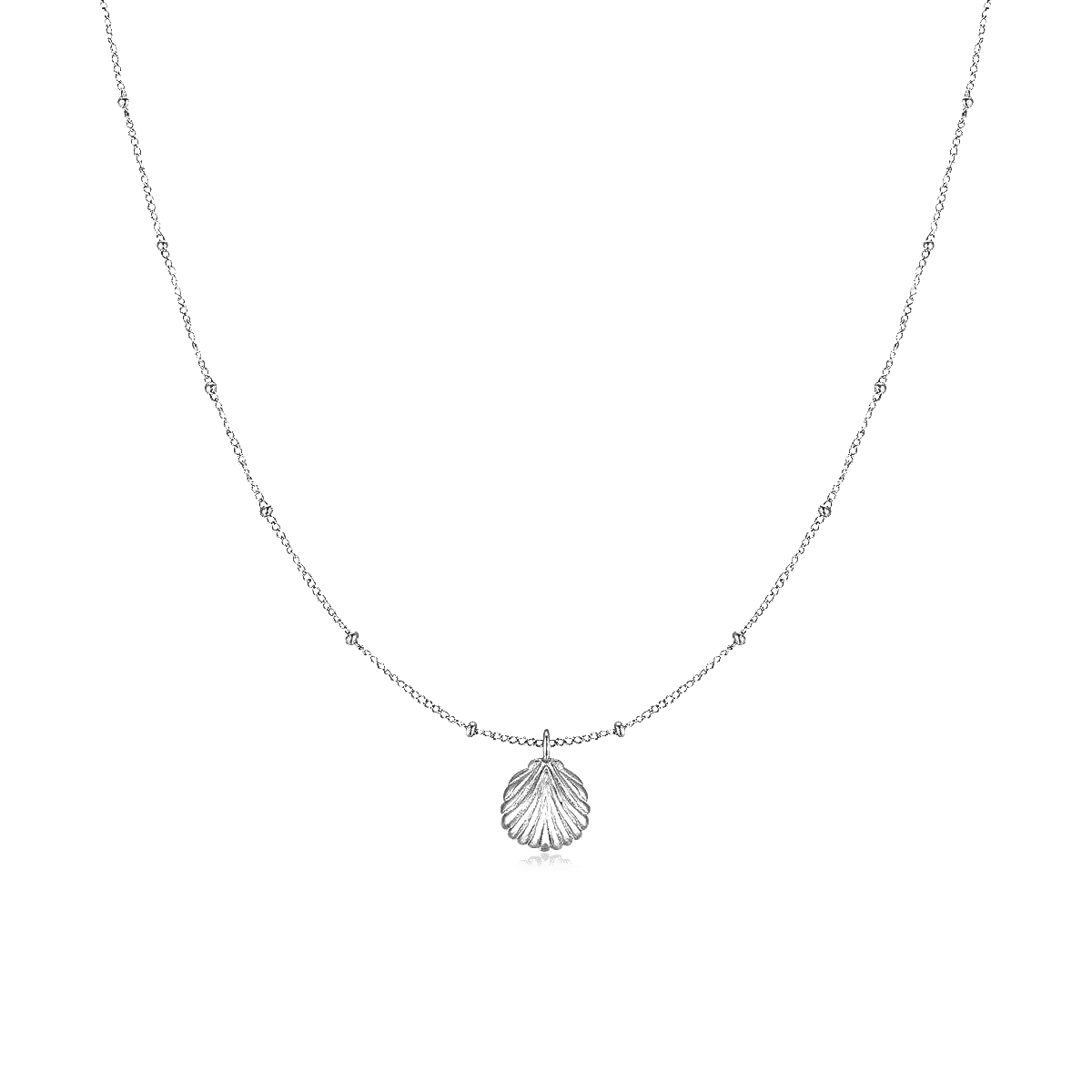 Collar Concha Marina
