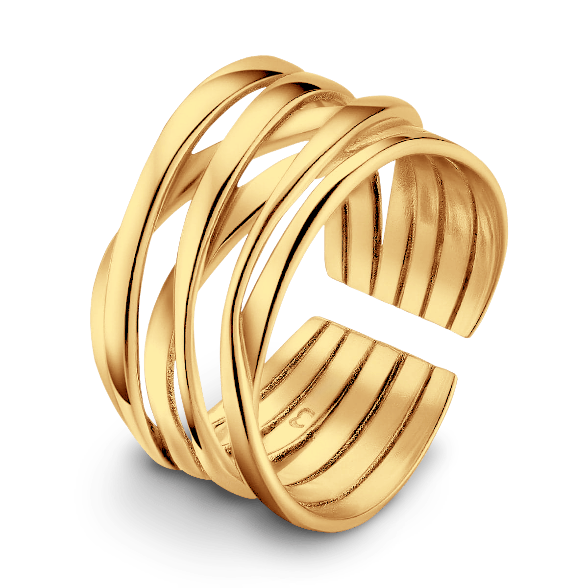 Anillo Branch