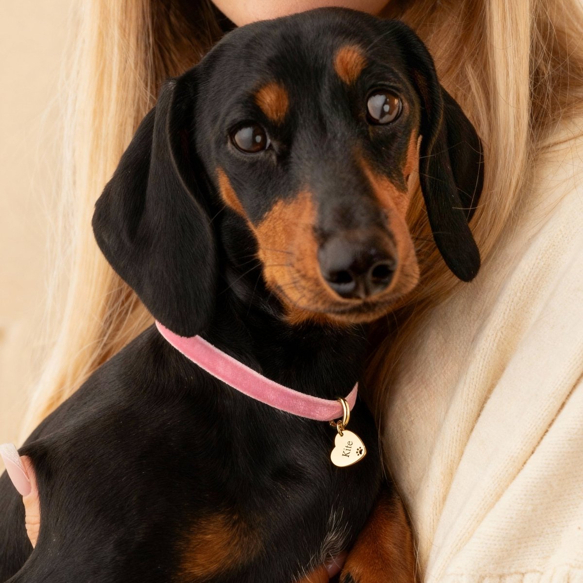 Collar Amor Mascota - Personalizado - LePetiteMarie