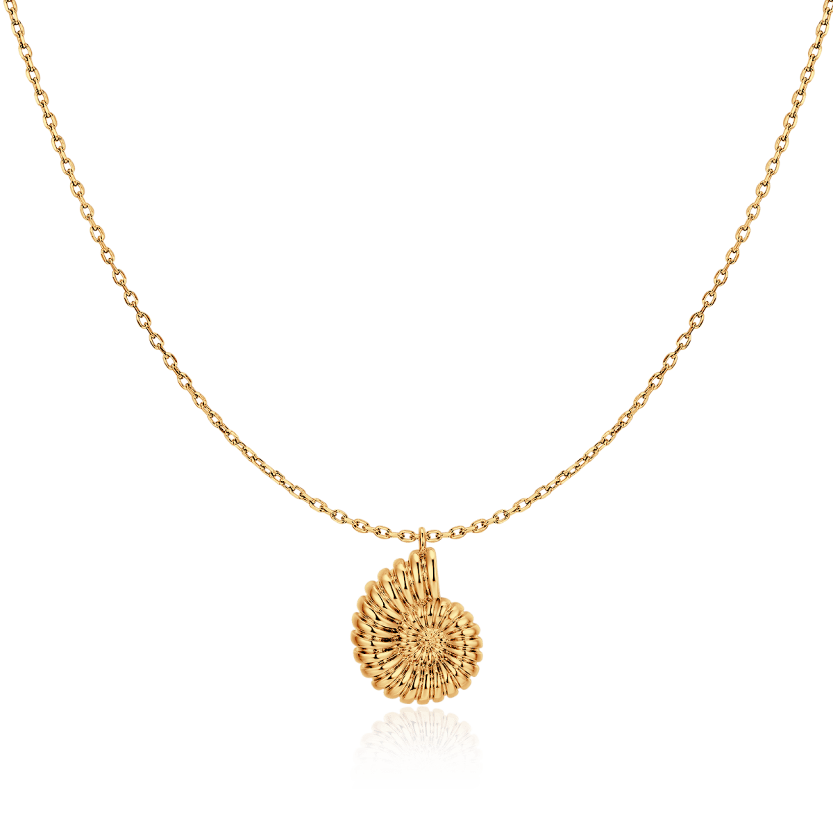 Collar Concha de Nautilus - LePetiteMarie