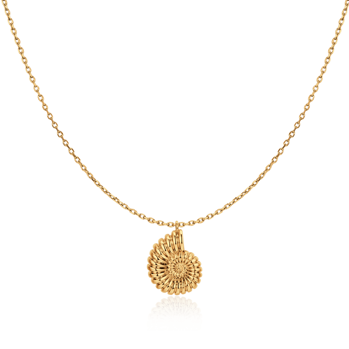 Collar Concha de Nautilus - LePetiteMarie