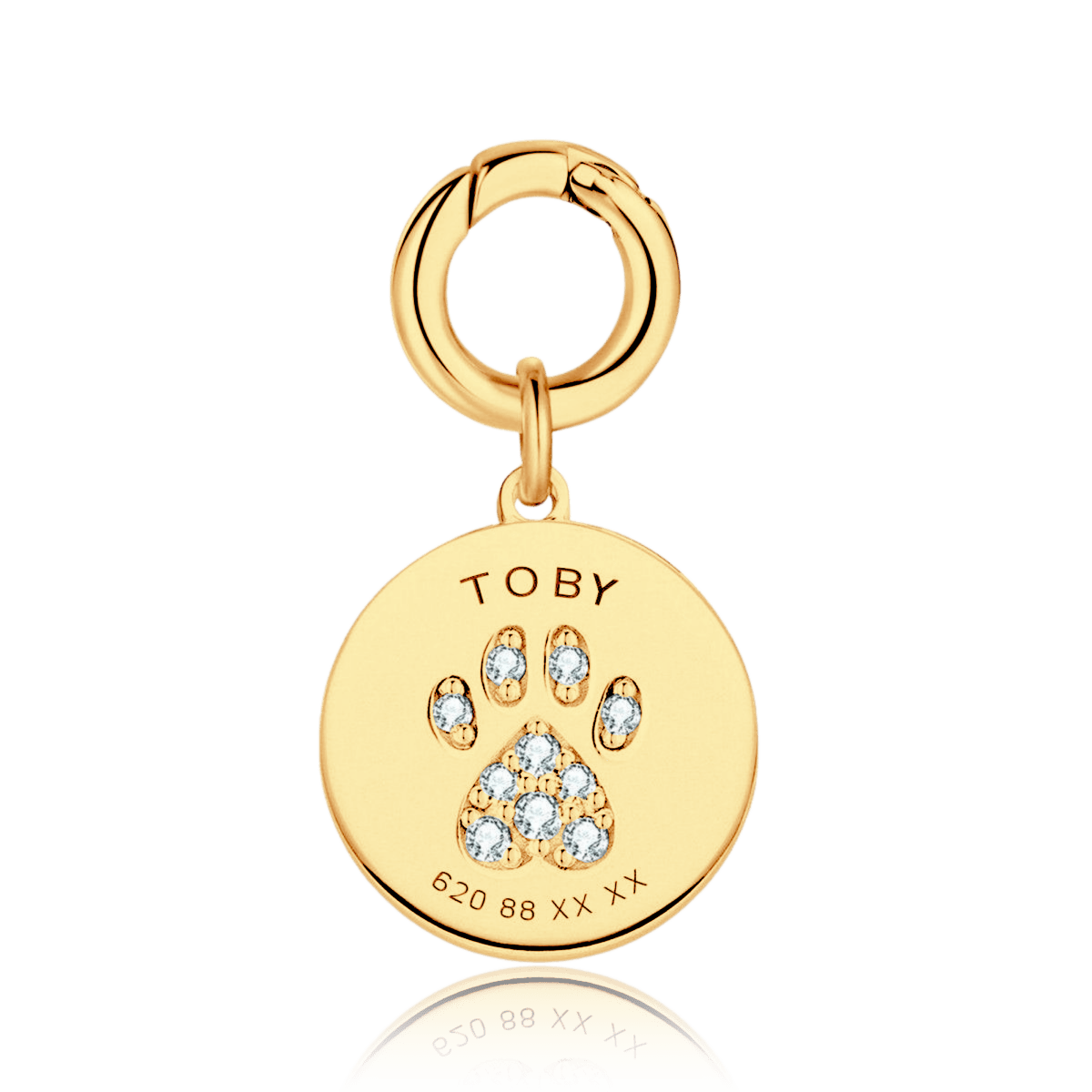 Collar Mascota - Personalizado - LePetiteMarie