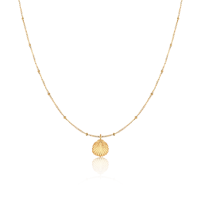Collar Concha Marina