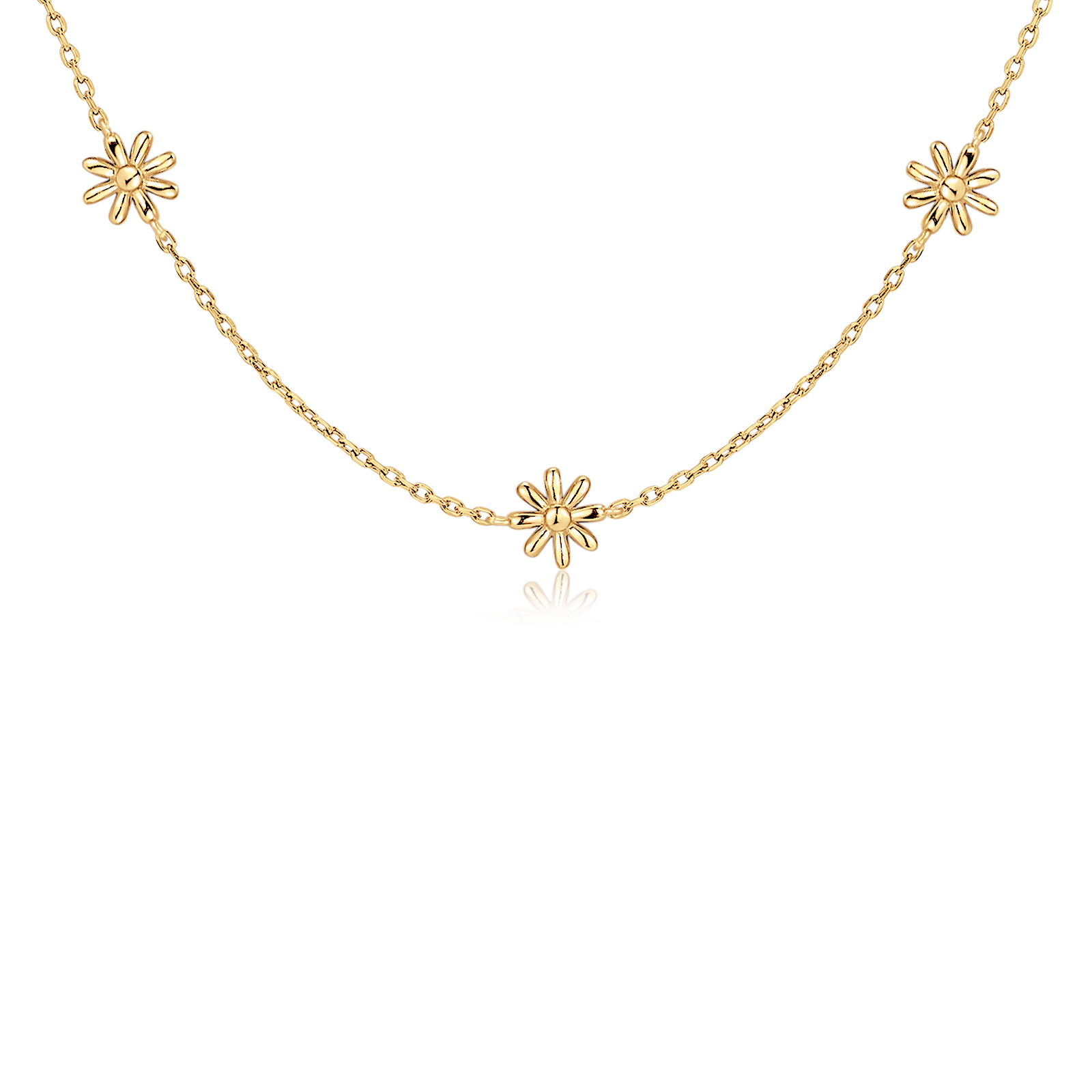 Collar Hábitat