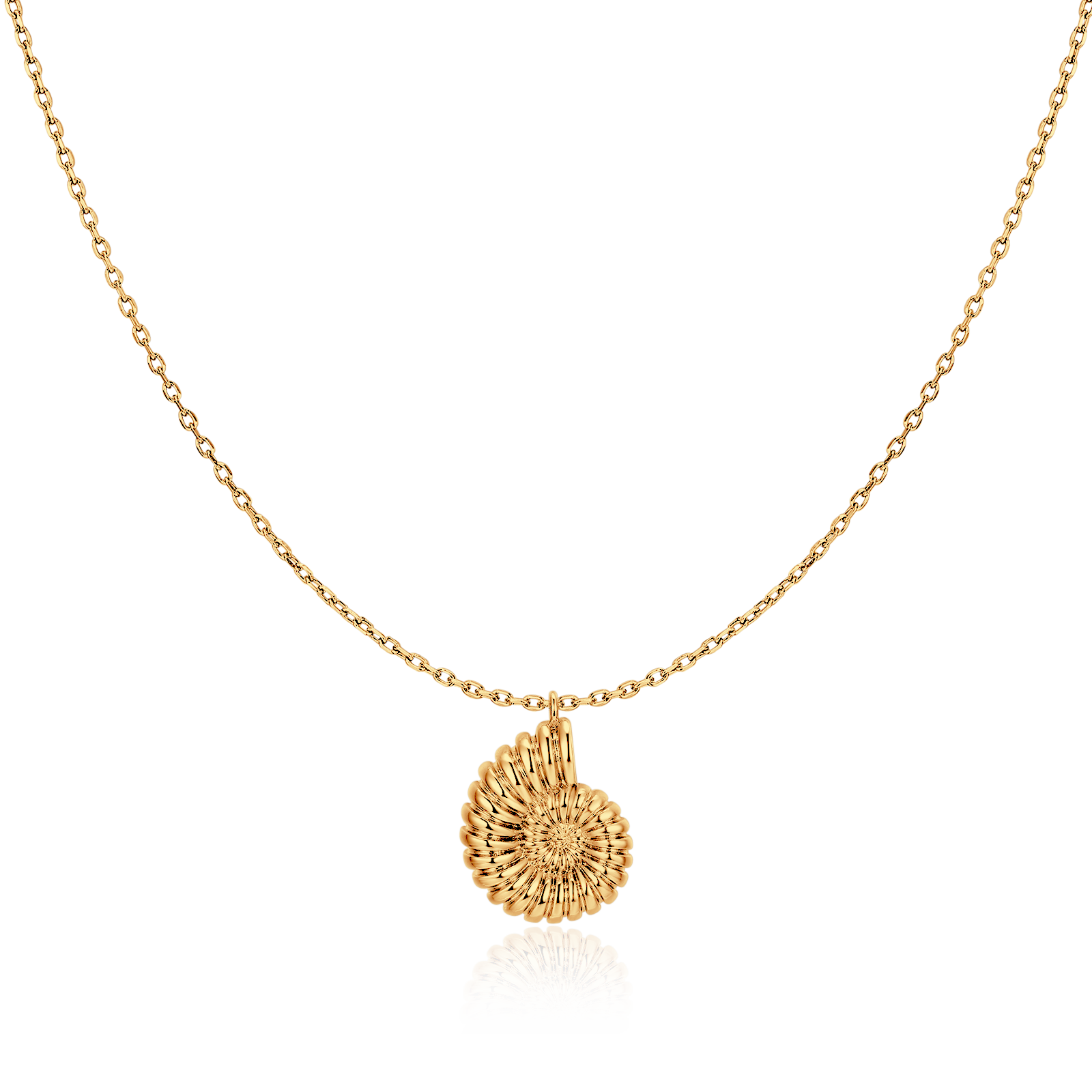 Collar Concha de Nautilus