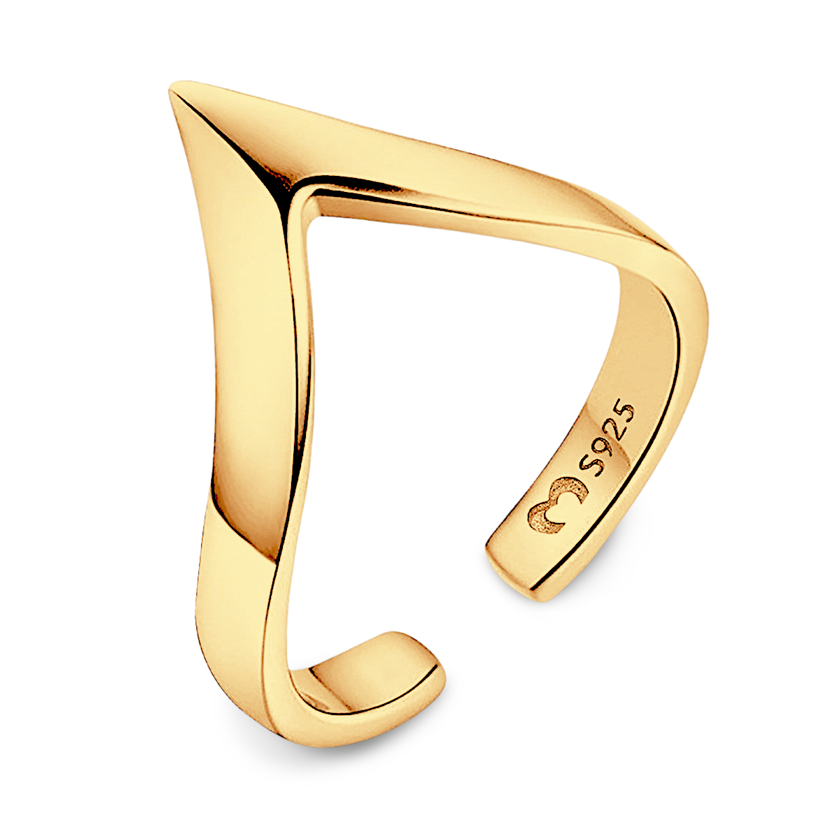 Anillo Vision