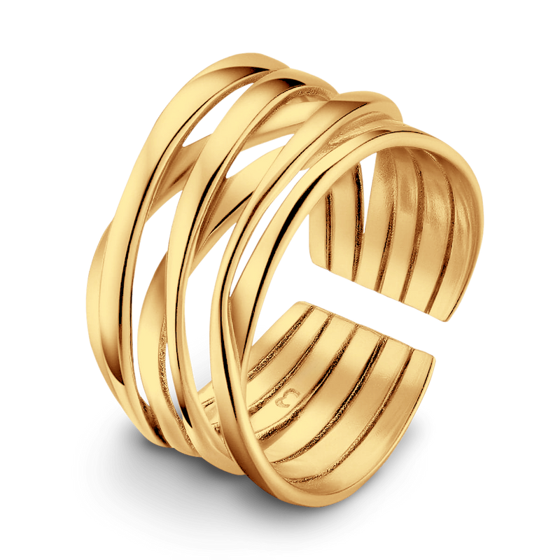 Anillo Branch