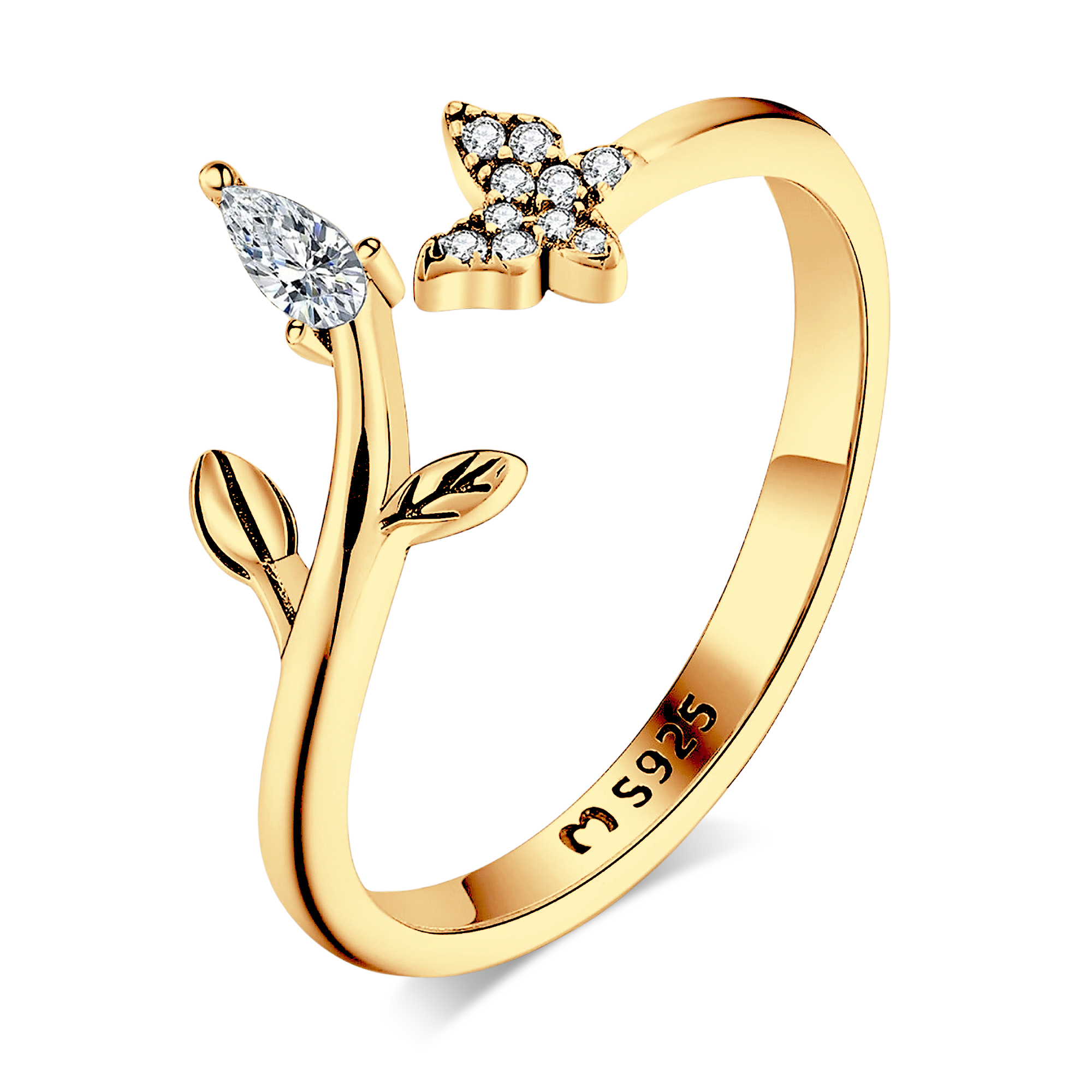 Anillo Naturaleza