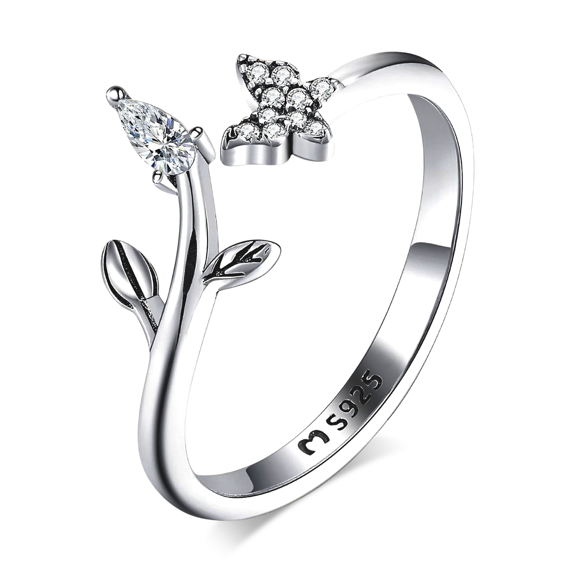 Anillo Naturaleza