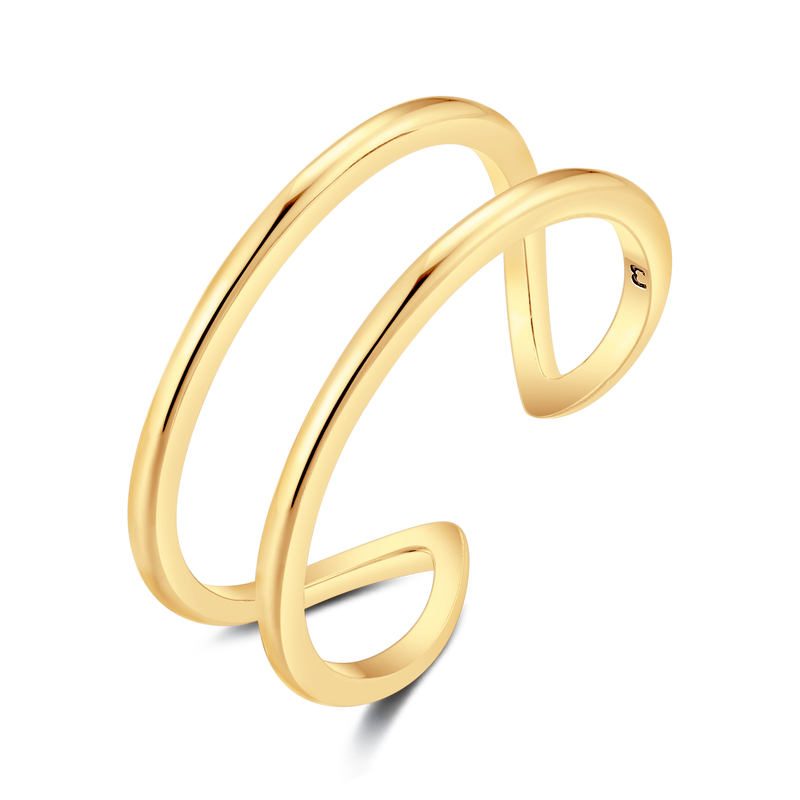 Anillo Nexo