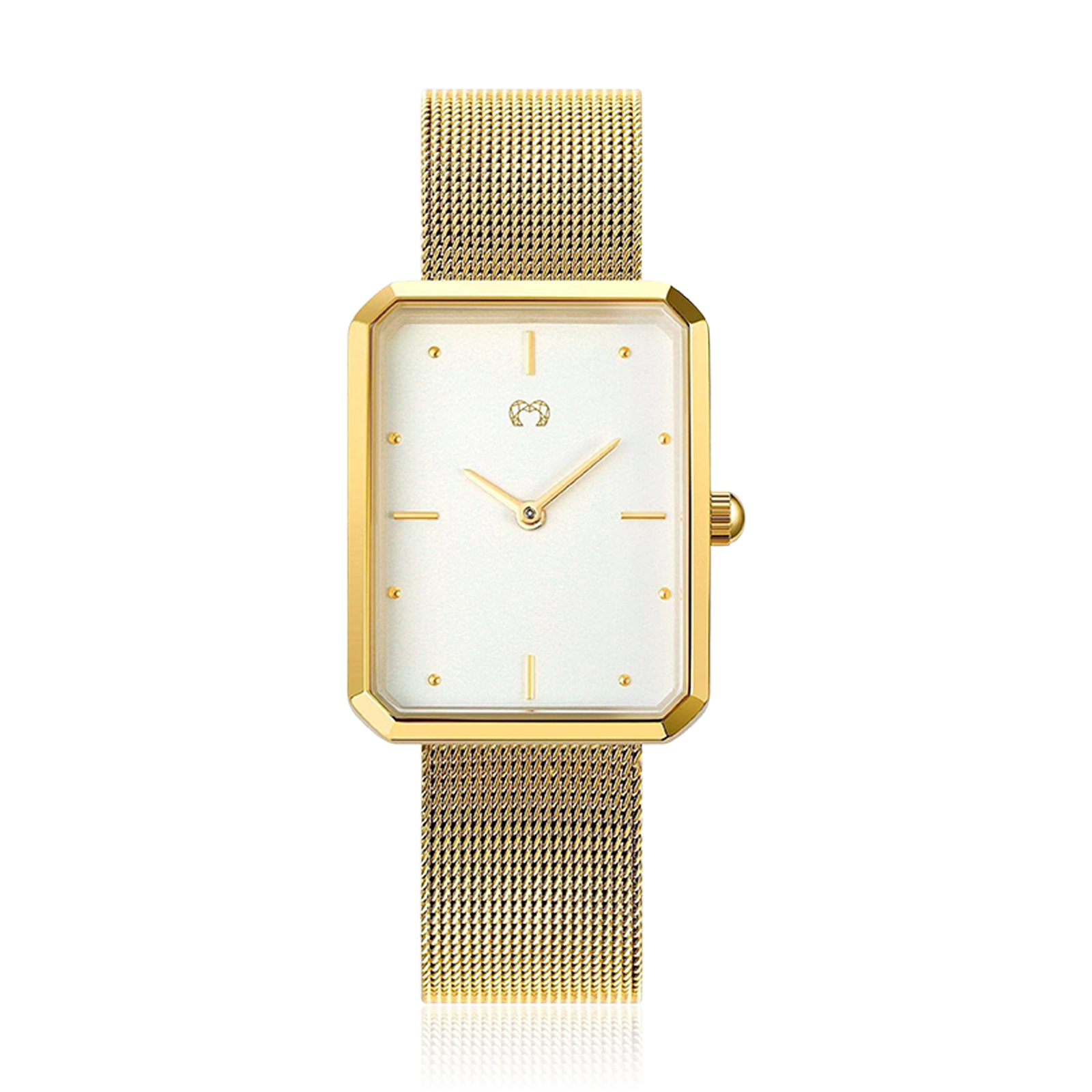 Reloj Kapten ~ GoldWhite - LePetiteMarie