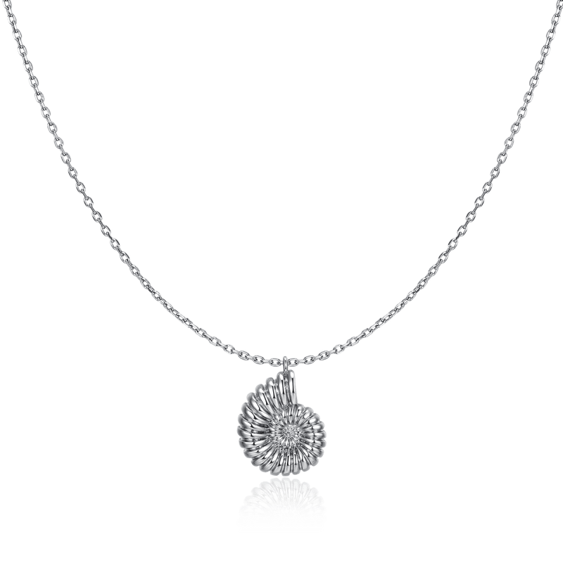 Collar Concha de Nautilus - LePetiteMarie