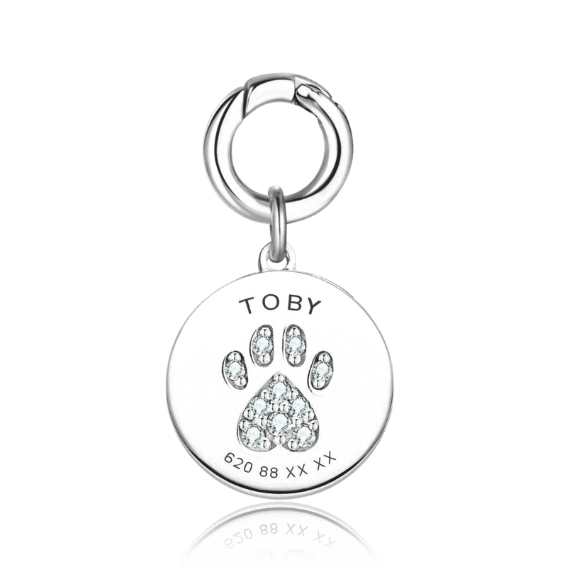 Collar Mascota - Personalizado - LePetiteMarie