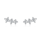 Brincos de lustre