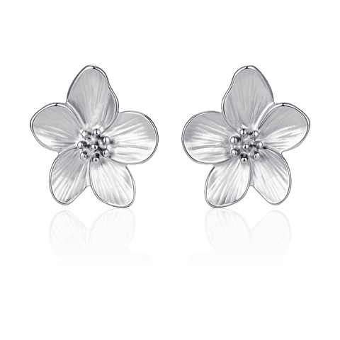 Plata
